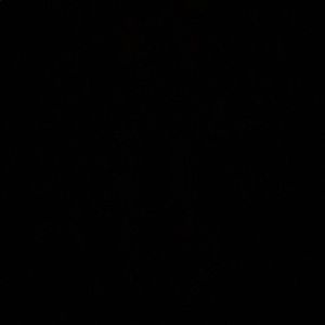 Meet your Posher, Teflon663